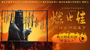 成人在线手机视频